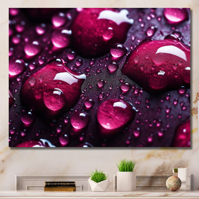 " Red Rose With Raindrops On Black VI "