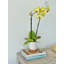 Porte-bouteilles et sous-verres La Jolla-99884497