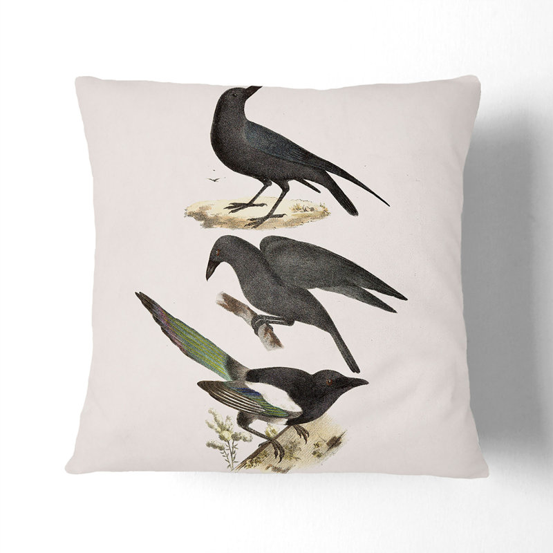 Square Throw Cushion, 55cm H x 55cm W x 20cm D