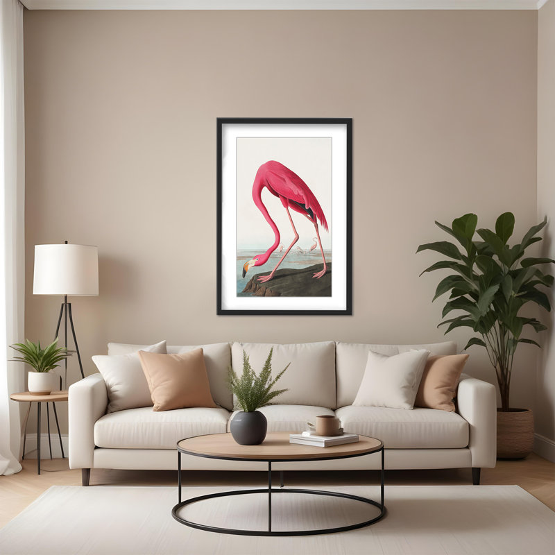 Coastal Retreat Pink Flamingo II From Birds Of America (1827), 48" H x 32" W x 1.5" D, Black, Framed Matted Print
