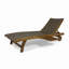 Chaise longue avec plateau coulissant [Ensemble de 2 pièces]