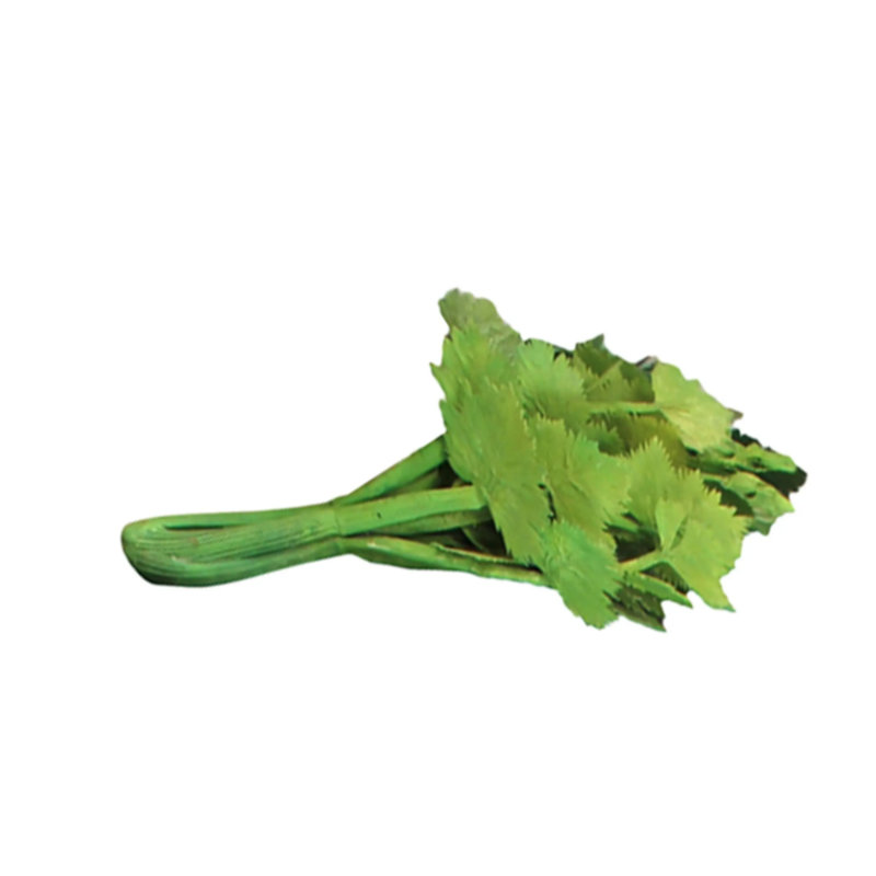 Statue céleri surdimensionnée de légumes