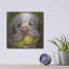 «Clumber Spaniel 2» par Barbara Keith-872275805