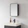 Lagos Rectangular Framed Medicine Cabinet with Mirror