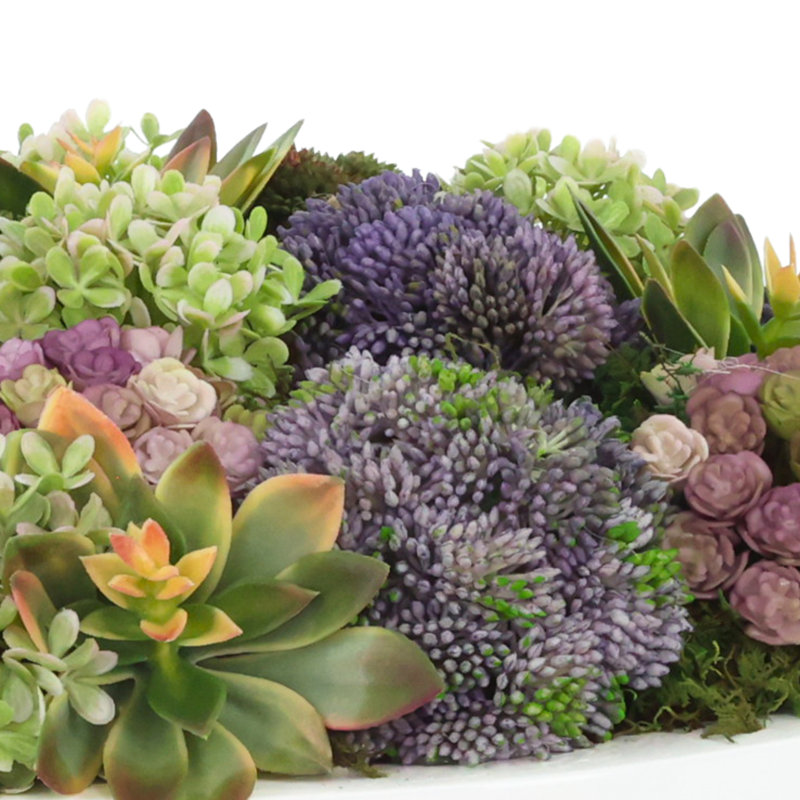 Assorted Sedum and Succulent Arrangement in Round Planter