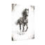 Reproduction d'art animaux en noir et blanc-215128136