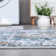 Shiann Washable Oriental Indoor Rug
