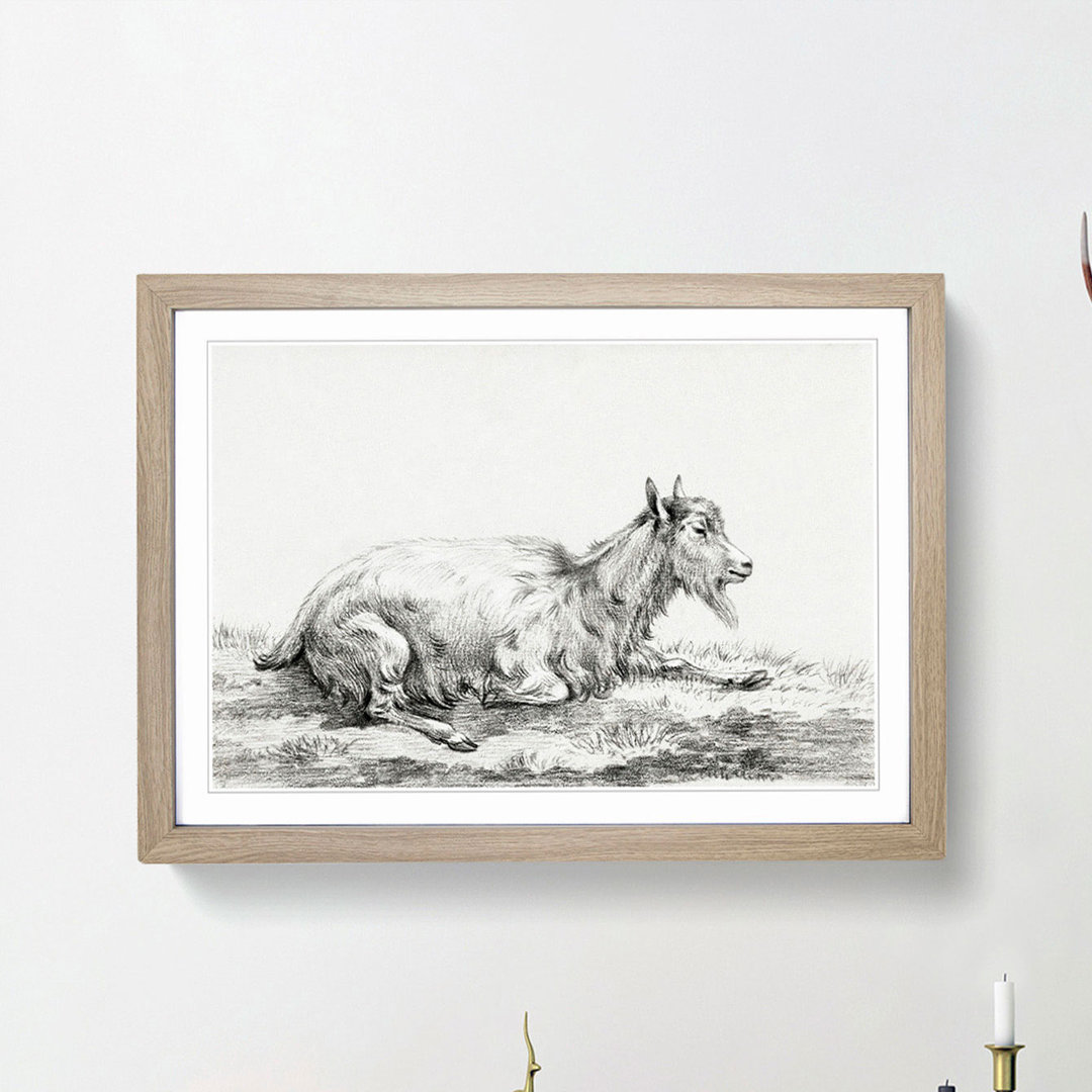 Resting Goat by Jean Bernard - Picture Frame Drawing Print