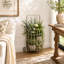 Iron Decorative Cart