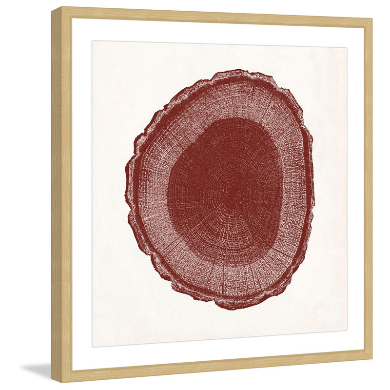 "Tree Ring I" Framed Print, 24"H x 24" W x 1.5" D