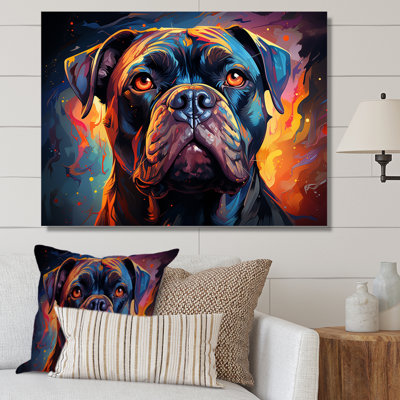 Cane Corso Confidence III