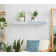 Avyay Oak Floating Shelf
