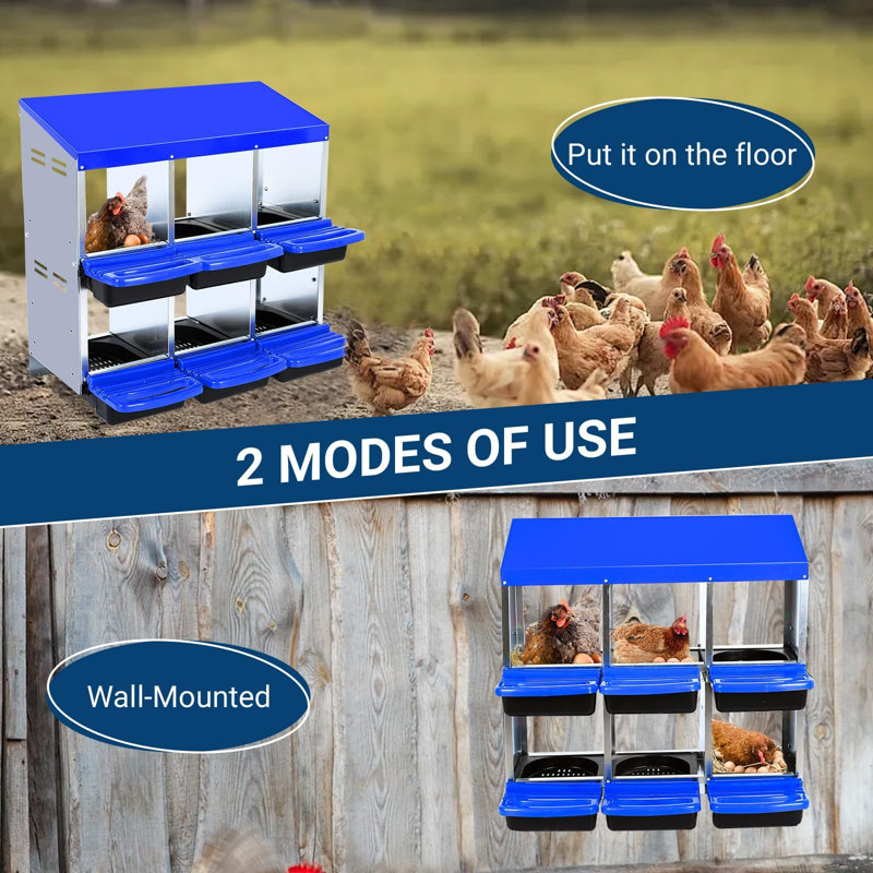 Boîtes de nidification à poulets 6/8/10, Bleu