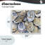 Oyster Shellabration Pile, estampe numérique, design par Heidi Kuntz-908137371-908137372