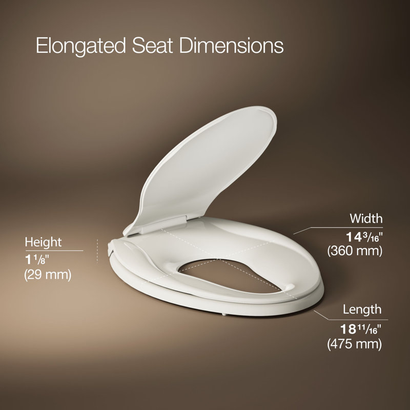 Transitions® Quiet-Close with Grip-Tight Elongated Toilet Seat, Black Black, Non Ready Latch