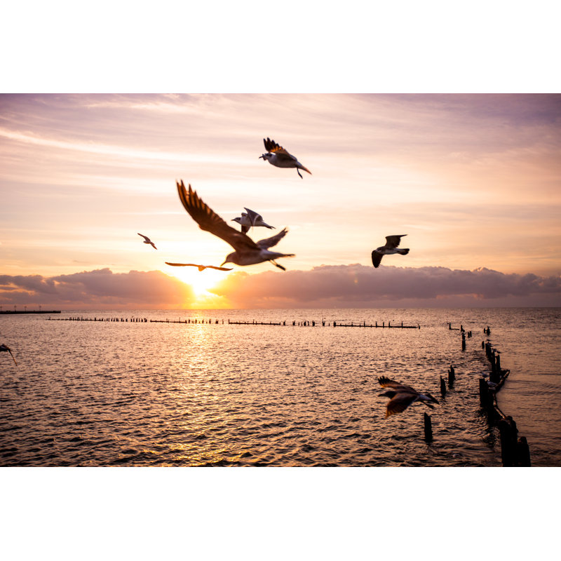 Key West Sunrise by Anouchka - Wrapped Canvas Print, 81cm H x 122cm W x 3.8cm D