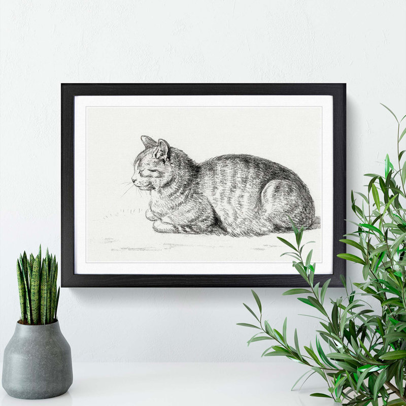 Peaceful Cat by Jean Bernard - Framed Print, 48cm H x 65cm W x 2cm D, Black Framed