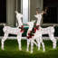 Christmas Deer Lighted Display 3 Piece Set-772121431