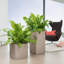 Canto Planter Box-26992016-26992021