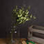 Arrangement-34404672