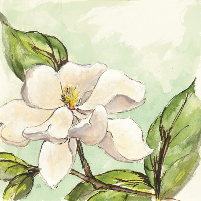 Magnolia I