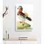Mandarin Duck by George Shaw - Wrapped Canvas-55329680
