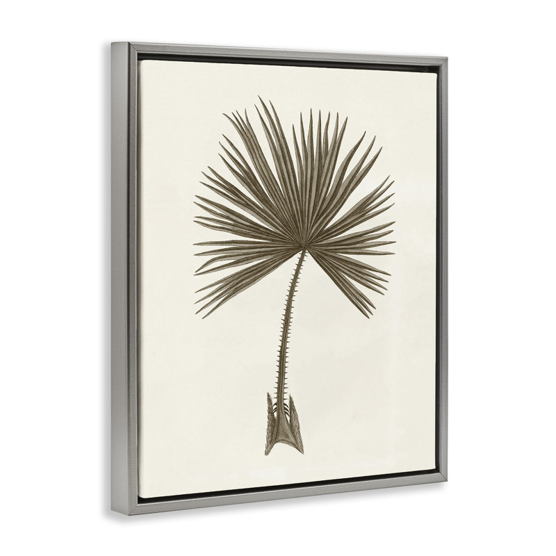 Étude rétro de cadre flottant feuille de palmier, design par Phillipa Katz, H 21 po x l 17 po, Cadre flottant gris lustré