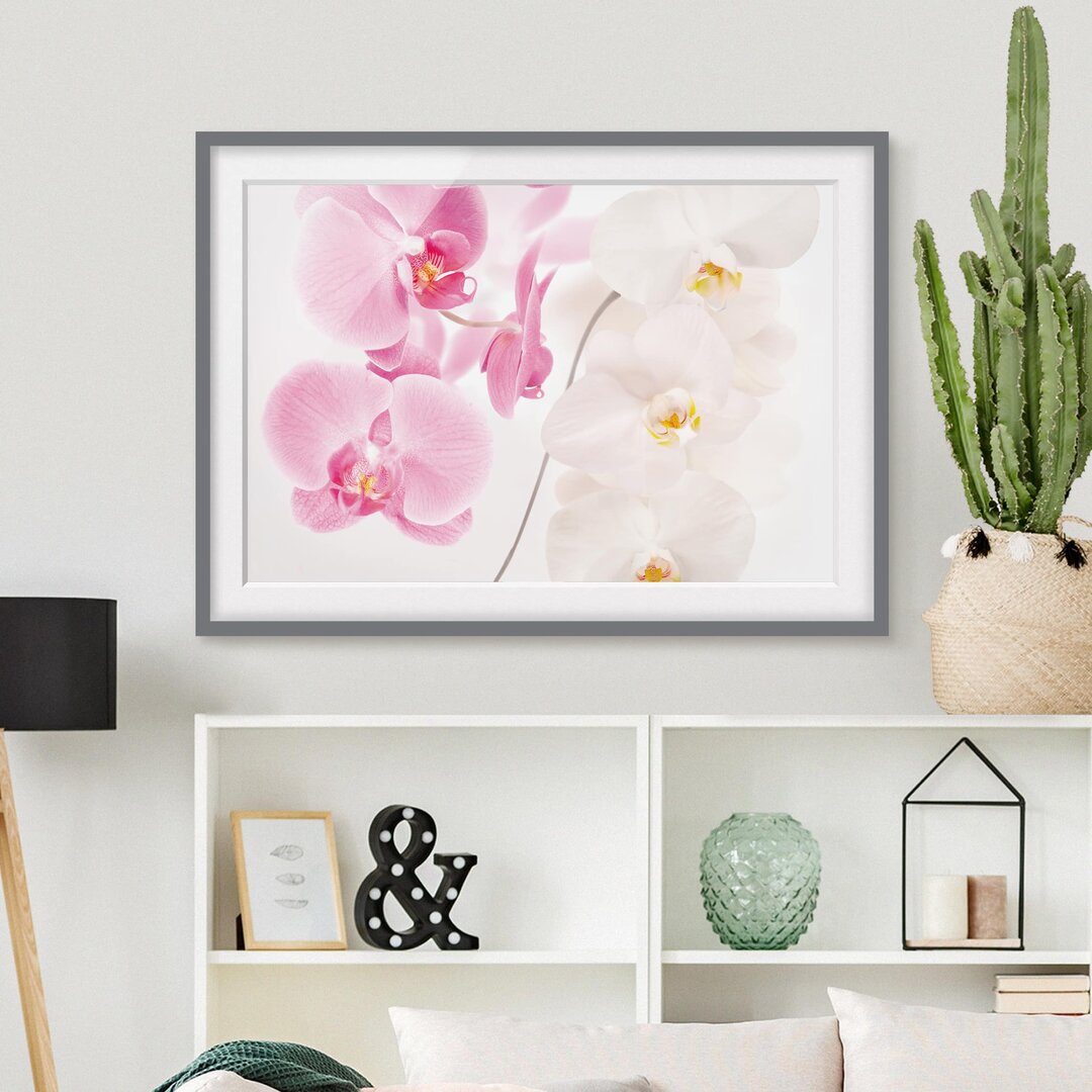 Gerahmtes Papierbild Zarte Orchideen