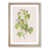 Oak Framed selected