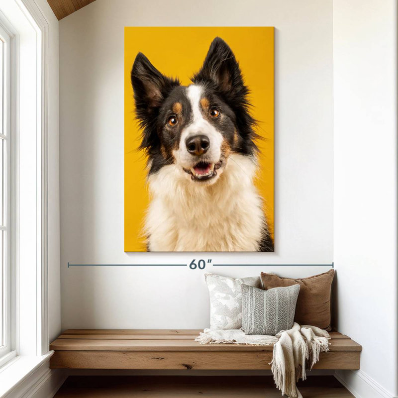 Brampt Adorable Border Collie, 51" H x 34" W
