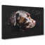 Chocolate Brown Labrador Dog - Wrapped Canvas Painting-56641218