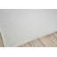 Gamma Area Rug in Ivory-67462344