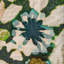 Rhapsody Arioso Print Fabic-272872421