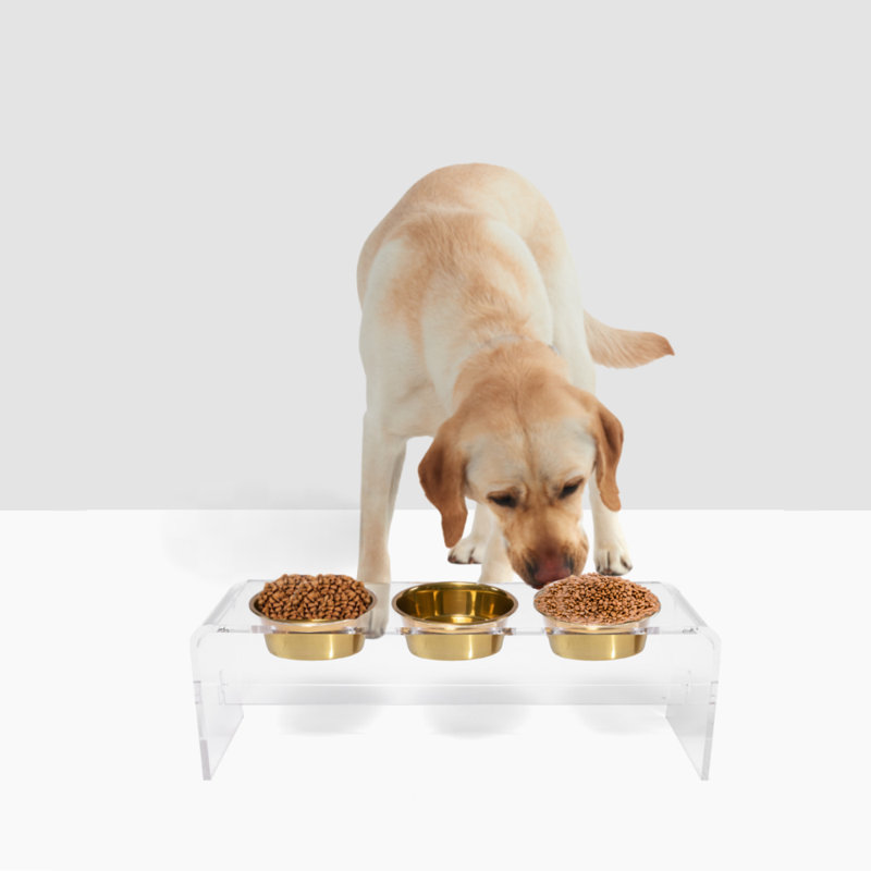 Mangeoire pour chien haute et triple avec bols, Doré