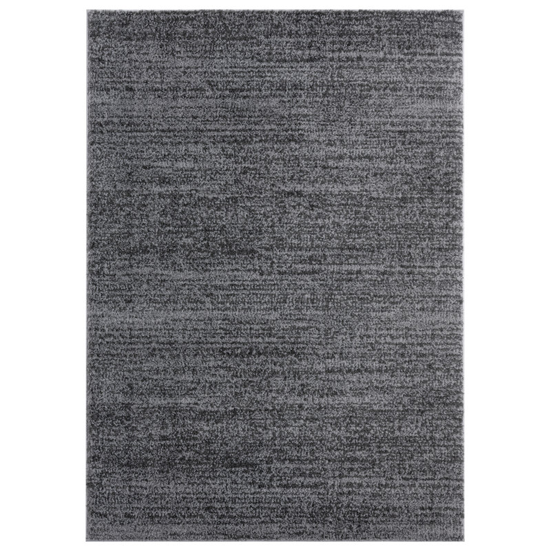 Tapis gris foncé à poils longs Wadena, Rectangle 3 pi 3 po x 4 pi 11 po