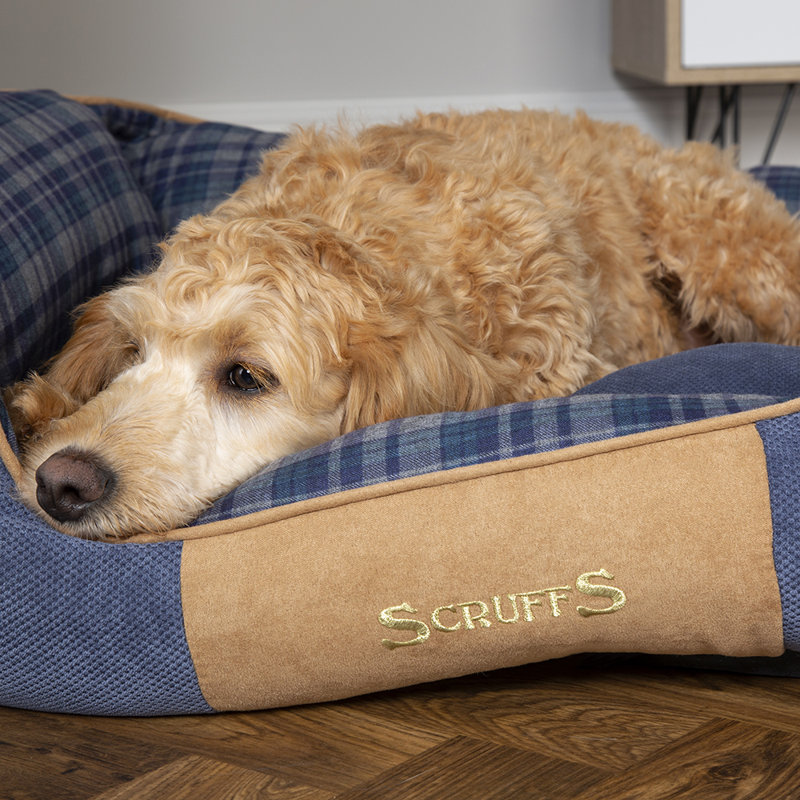Highland Polyester Pet Bed, Blue/Black/Brown, 19cm H x 75cm W x 60cm D