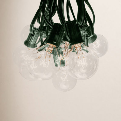 Alsip 50' Outdoor 50 - Bulb Globe String Light