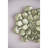 D10x1.6" Succulent Wall Plaque