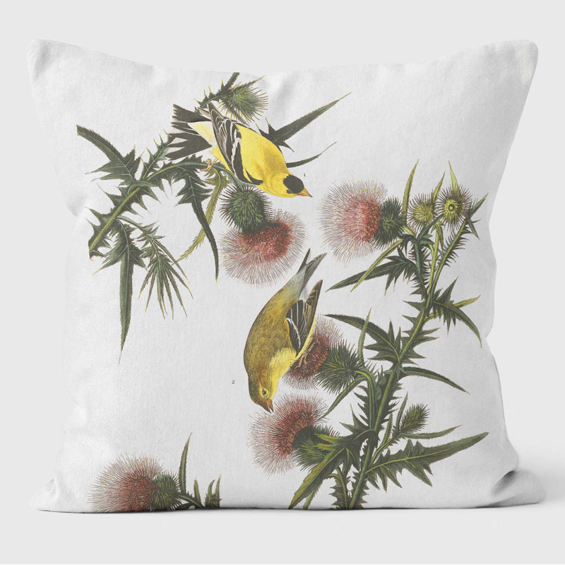 American Goldfish Birds of America Cushions
