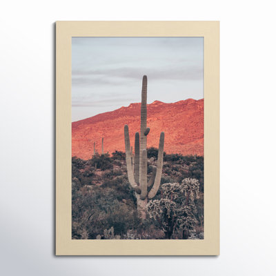 Sunsets And Saguaros by Nathan Larson