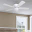 Ventilateur de plafond 52 po avec lumière DEL Benton-347061824