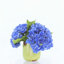 Real Touch Hydrangeas in Ceramic Pot