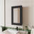 Parks Medicine Cabinet With Included Mirror, Black-1234206123