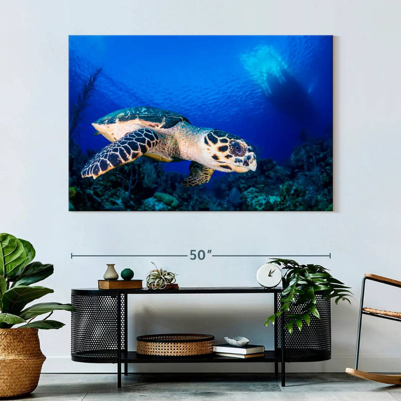 Brampt Underwater Hawksbill Turtle, 34" H x 51" W