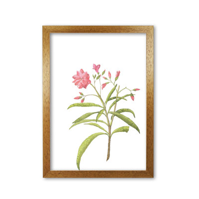 Pink Flower - Print