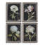 Fleurs sur fond noir, ensemble de 4
