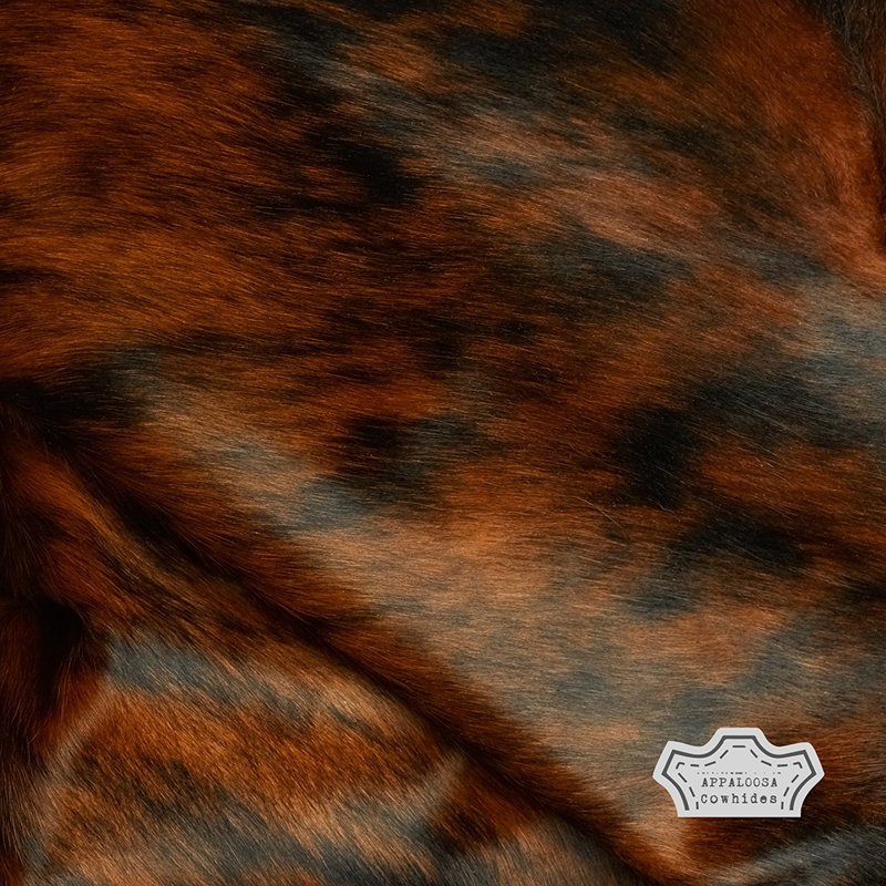Tapis naturel en peau de vache bringé foncé, Nouveauté 6 pi x 8 pi