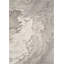 Tapis abstrait gris Abani Zebulon Bea120A-1243885197