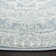 Olius Performance Oriental Rug
