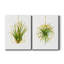 «Hanging Airplant II», ensemble de 2 reproductions d'art-105408470-105721912-105721919